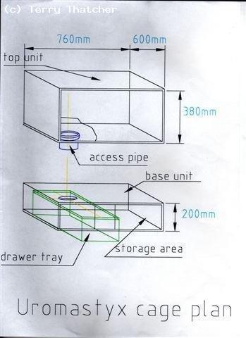 Uromastyx or Spinytailed Agamid cage plan.
Also suitable for any Desert species of lizard.  Size could be to suit the species in question.